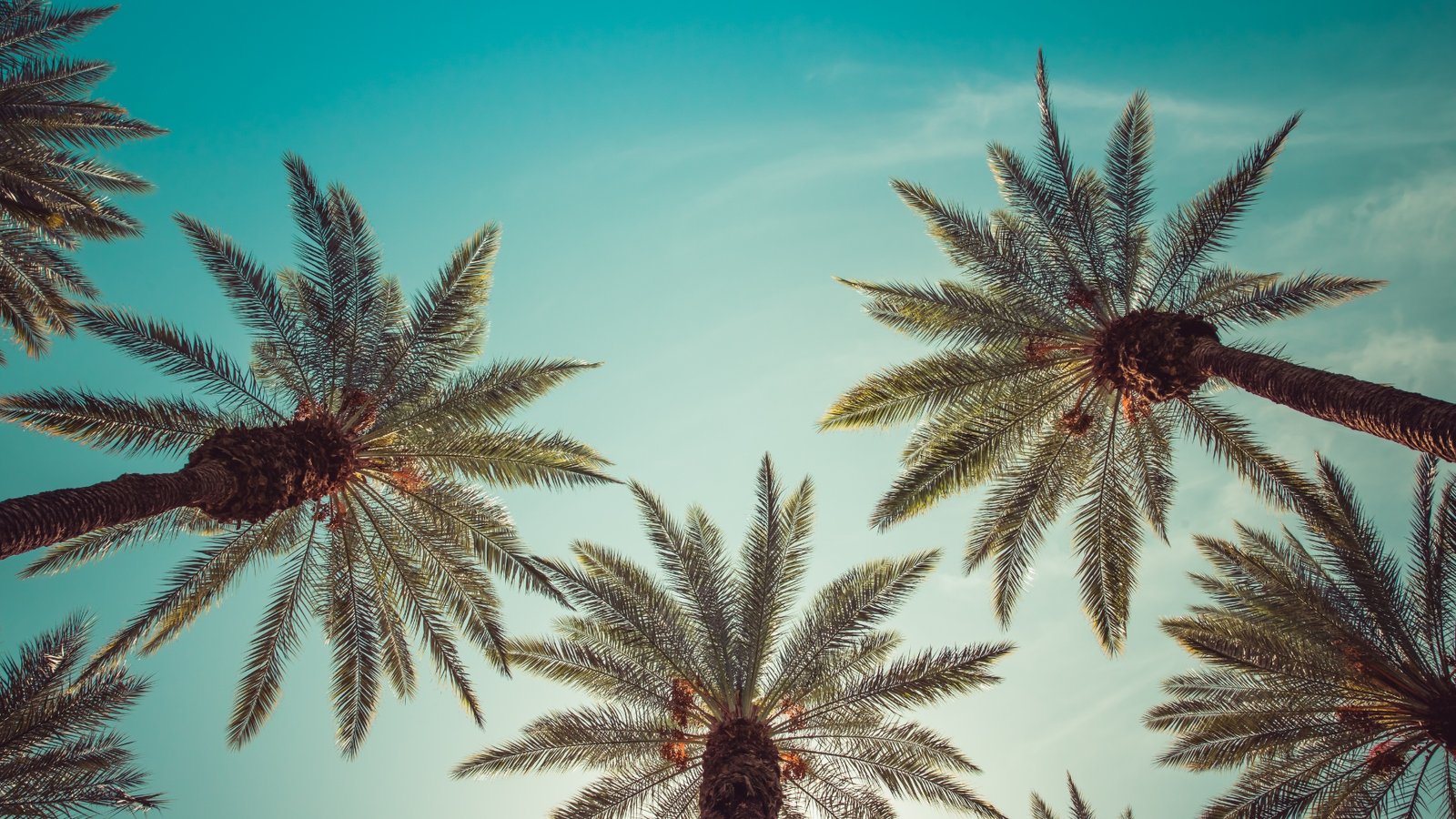 Untitled (250 x 150 px) (4)